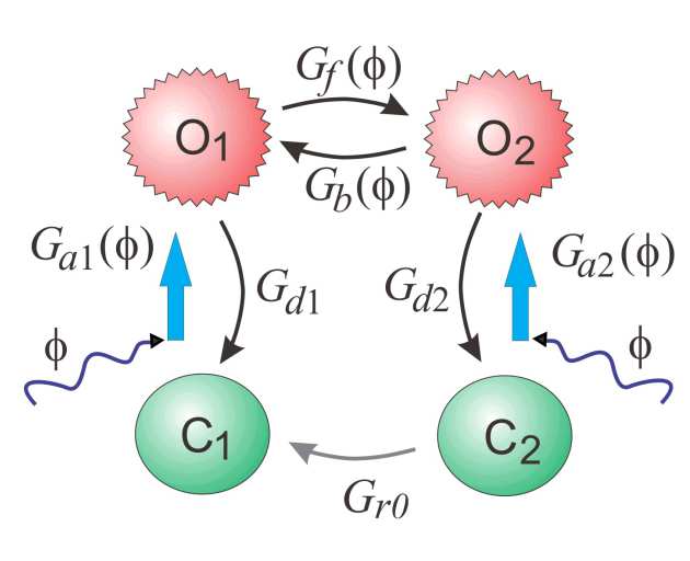 Four-state model