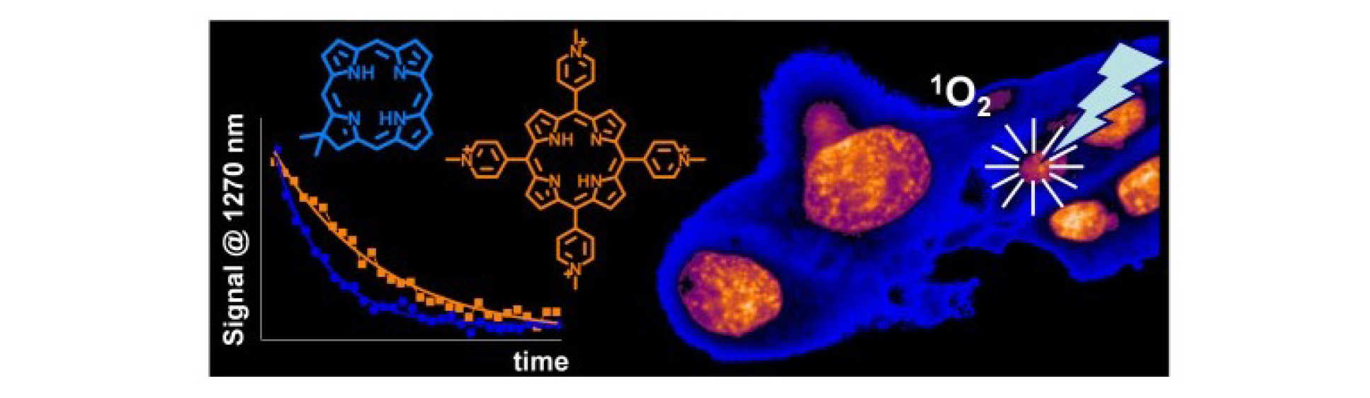 Measuring intracellular singlet oxygen