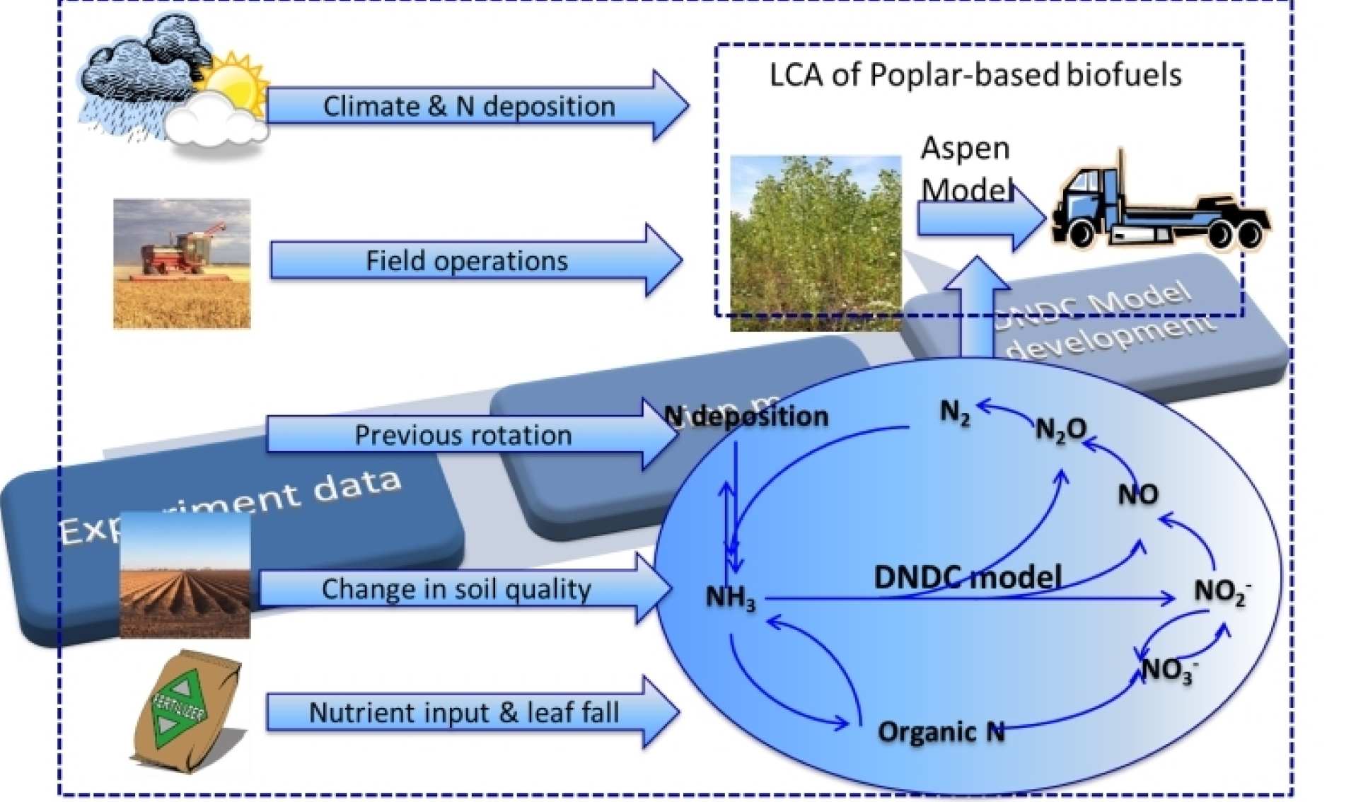 Biogeo modelling