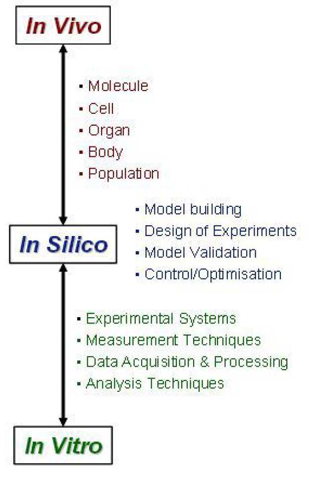 An integration of experimentalists, clinicians, engineers, and modellers