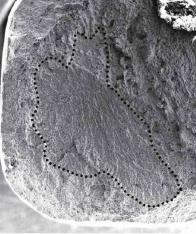   Cold dwell facet on fracture surface of Ti (from Sinha et al. Met and Mat Trans A 2006)