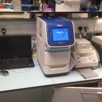 pplied Biosystems StepOnePlus Real-Time PCR System (RT-PCR)
