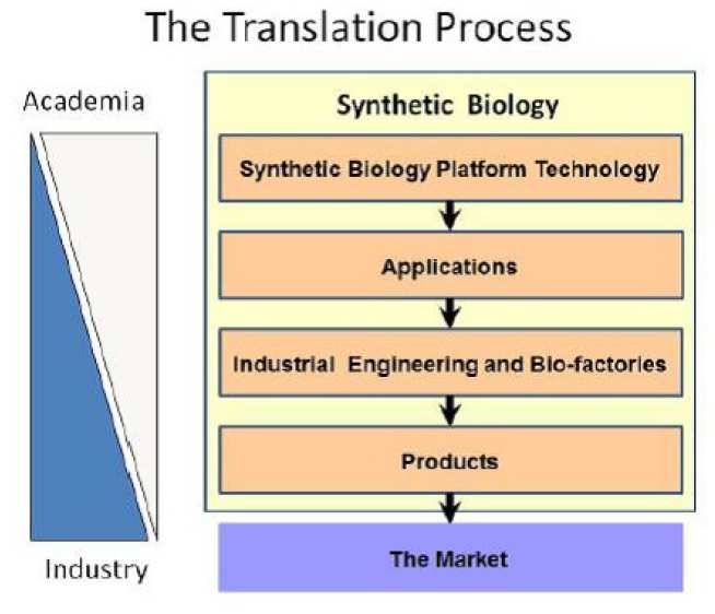 The Translation Process