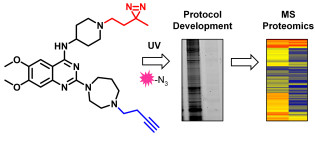 Chemical biology for target validation