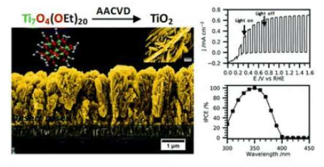 TOC image of Regue et al.