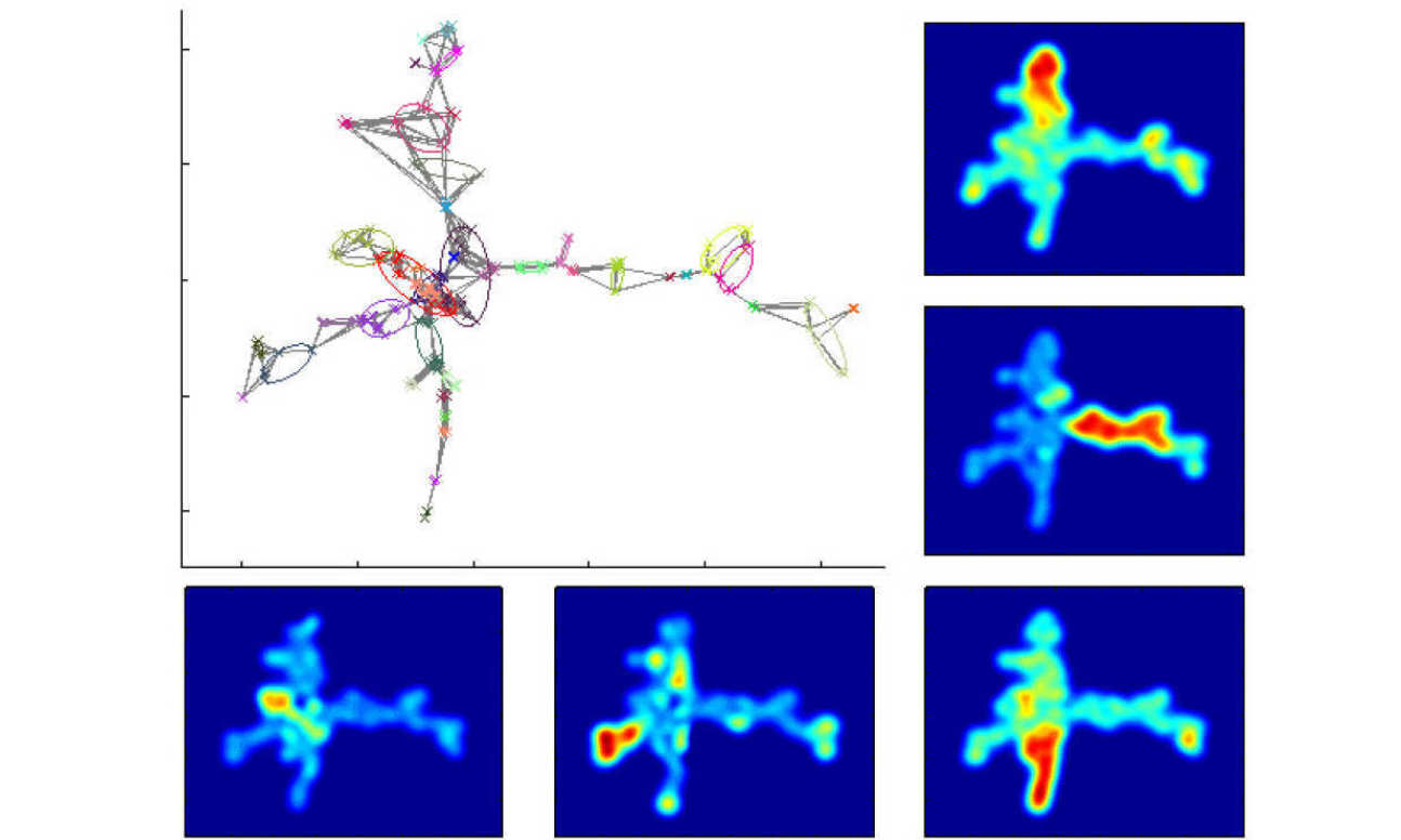 The patterns of gene expression in the process of differentiation of hematopoietic stem cells occurs on a high-dimensional transcriptomic landscape, captured here through geometric graphs and dimensionality reduction. The features of the landscape can be clustered to characterise the different branches of cell type progression.