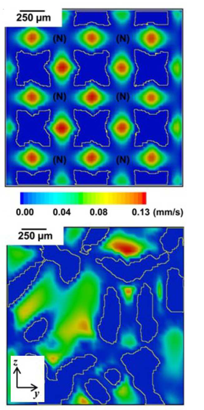2D cross-sectional views of local flow velocity distributions in porous Ti implant structures.