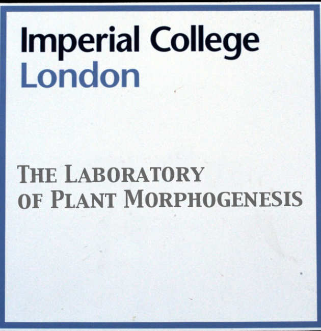The laboratory of Plant Morphogenesis
