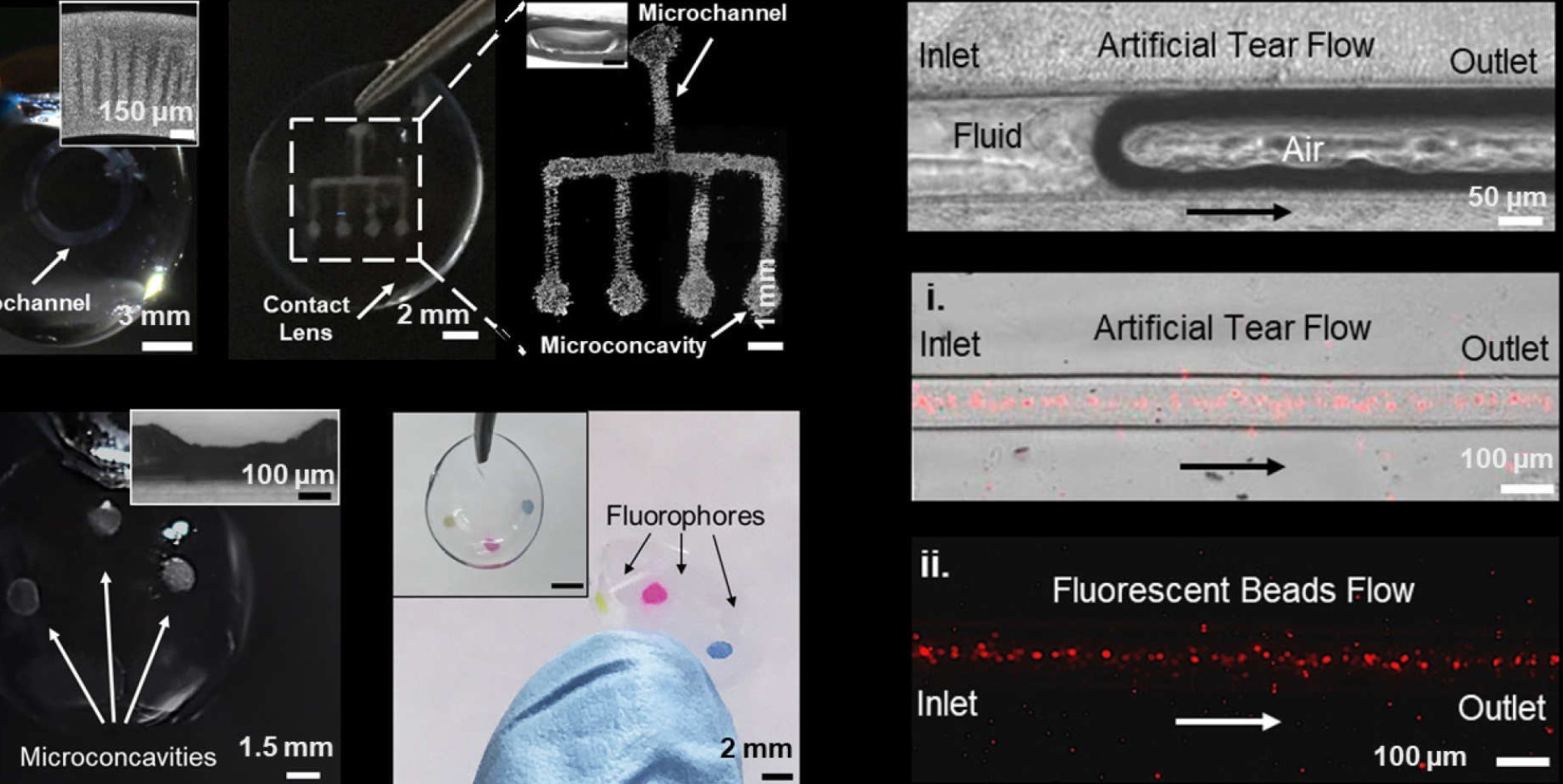 Images of microfluidic contact lenses showing microscale channels to transport fluids