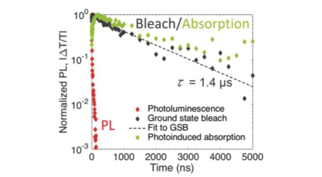 Double perovskite lifetime