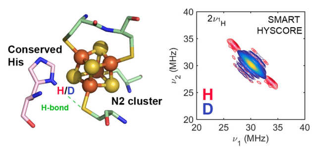 Using EPR Hyperfine Spectroscopy to define the Proton-Coupled Electron Transfer Reaction at Fe-S cluster N2 in Respiratory Complex I