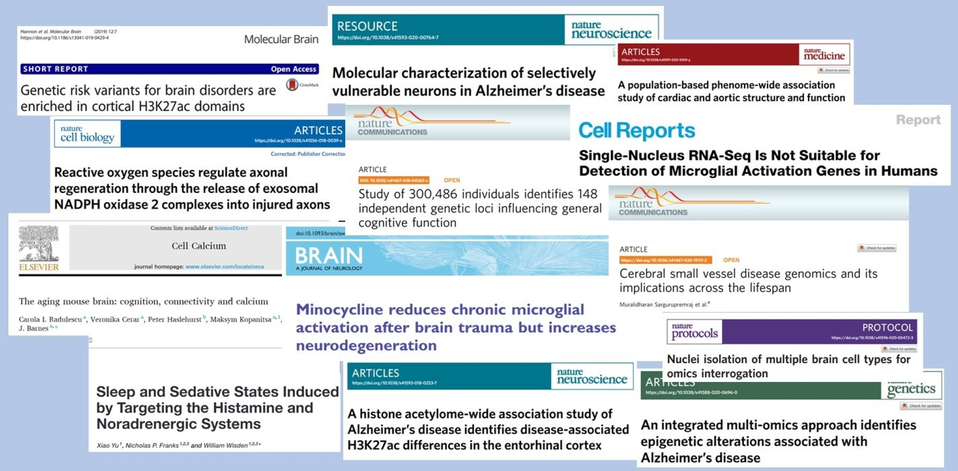 collage of highlighted papers