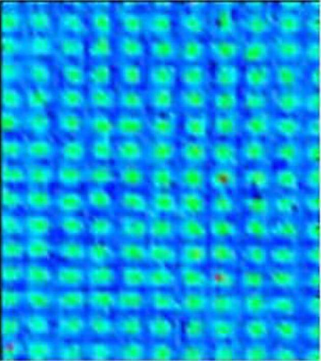 PDMS grid for high-throughput ATR