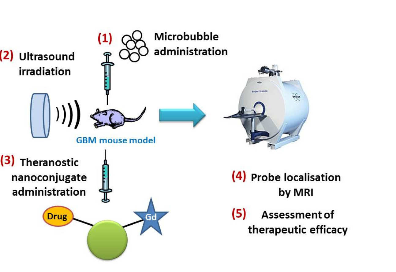 Ultrasound technology to deliver novel theranostic agents to malignant brain tumours