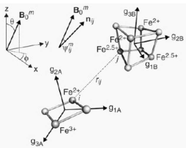 Direct assignment of EPR spectra to structurally defined iron-sulfur clusters in complex I by double electron–electron resonance