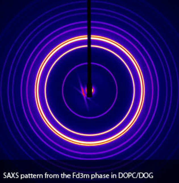 Fd3m phase in DOPC/DOG