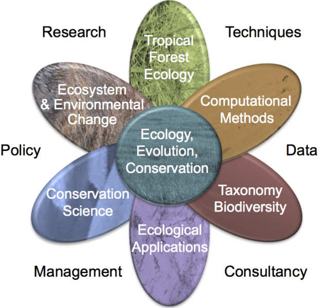 MSc course overview diagram