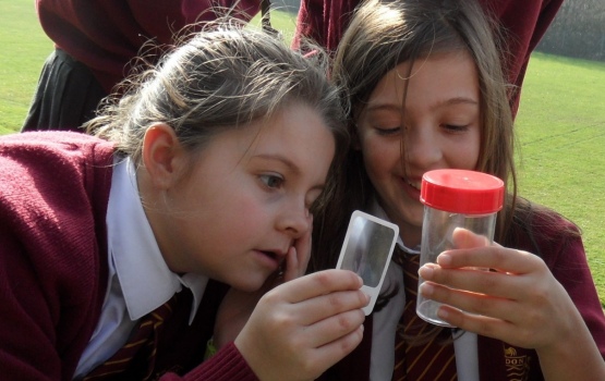 Olivia and Jade from Rydon Primary School, Kingsteignton in Devon, looking at the bugs they have found (OPAL)