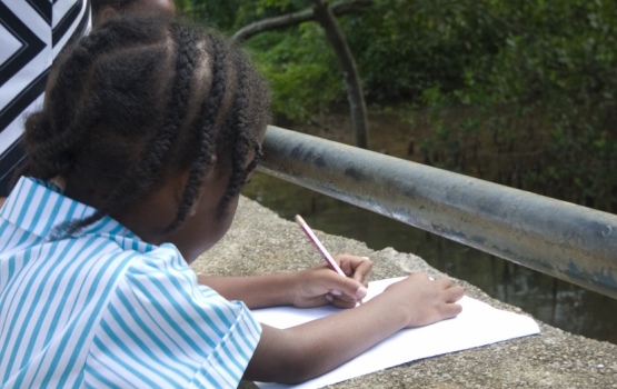 Any flat surface will do for noting down wetland species