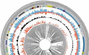 The genome of Blumeria graminis