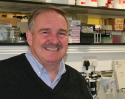 David Nutt