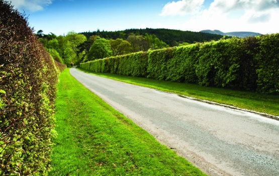 Counting species in local hedgerows helps OPAL identify biodiversity hotspots