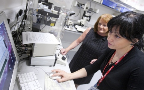 Researchers in the laboratory