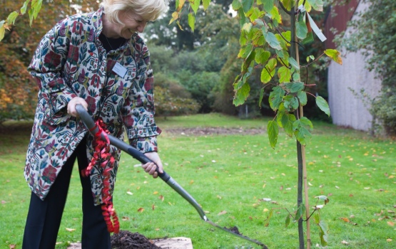 Professor Maggie Dallman plants a tree to mark the occasion