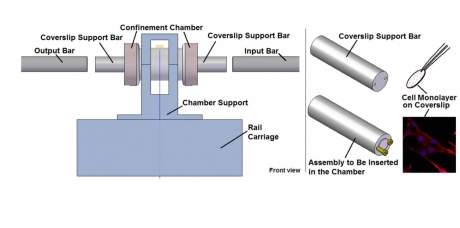 Schematic of the split Hopkinson bar experimental setup