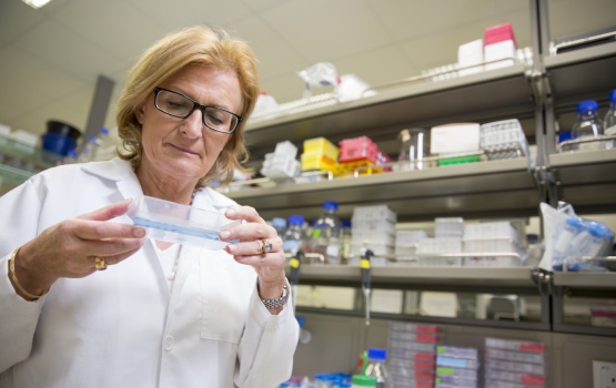 Professor Daniela Rhodes FRS heads up LKCMedicine's new structural biology research centre