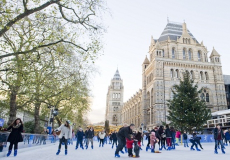 Ice skating at Natural History Museum