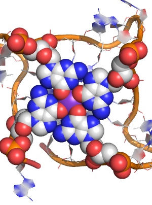 Structure of 4-strand DNA