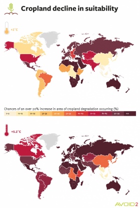 Impacts on cropland decline - infographic