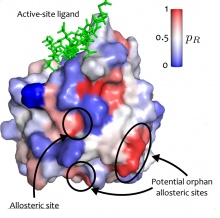 Protein model