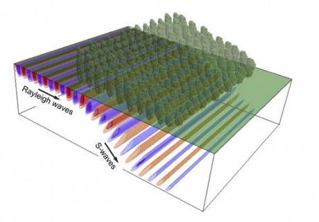 Schematic of earthquake waves passing beneath a forest