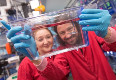 Dr Alex Willis and Dr Serge Mostowy with their zebrafish