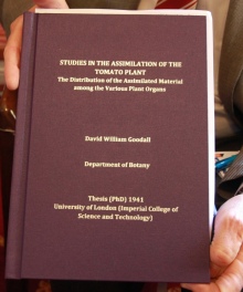 David's thesis