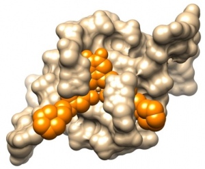 Quadruplexes