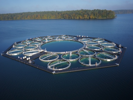 Circular frames floating in a lake