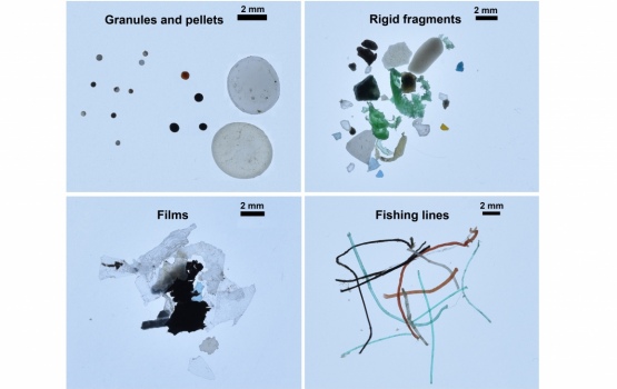 Types of plastic collected