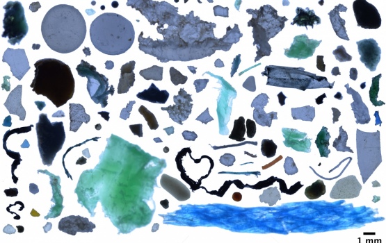 Collection of microplastic fragments