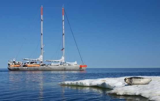 The Tara sailing through the ice. Image: Anna Deniaud - Tara Expeditions Foundation