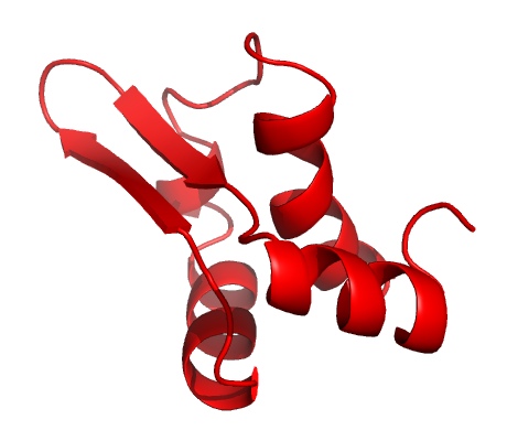 The Gp5.7 protein