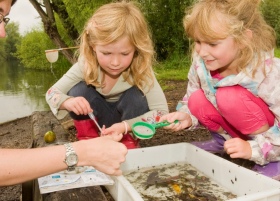 Girls looking at pond samples