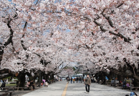 Tokyo Tech