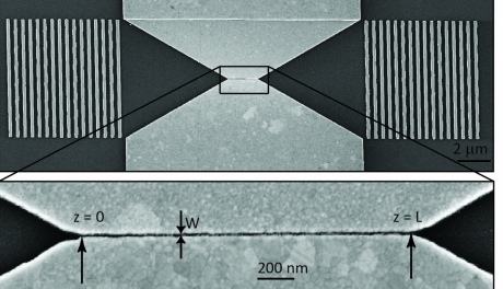 A scanning electron microscope image of the device