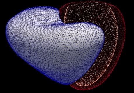 Computer software creates a 3D virtual heart from MRI scans, then learns to predict when patients will die