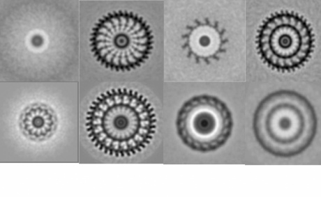 Greyscale images of stator complexes