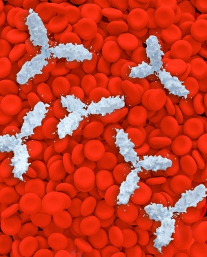 3D rendering of antibodies and red blood cells.
