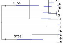 Genomic analysis of Clostridium difficile to investigate transmission